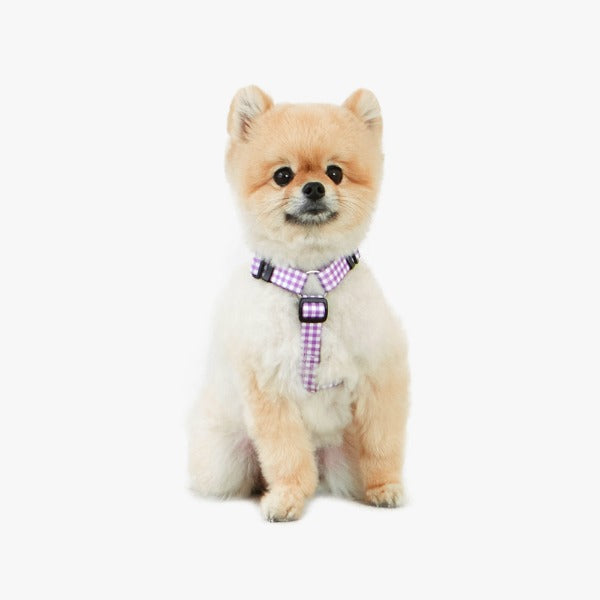 [BETTERS] Betters Check Pattern H Harness