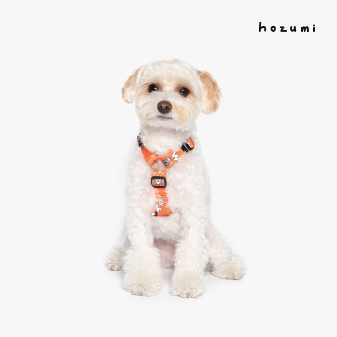 [BETTERS] Hozmi x Betters Baby Angel H Harness