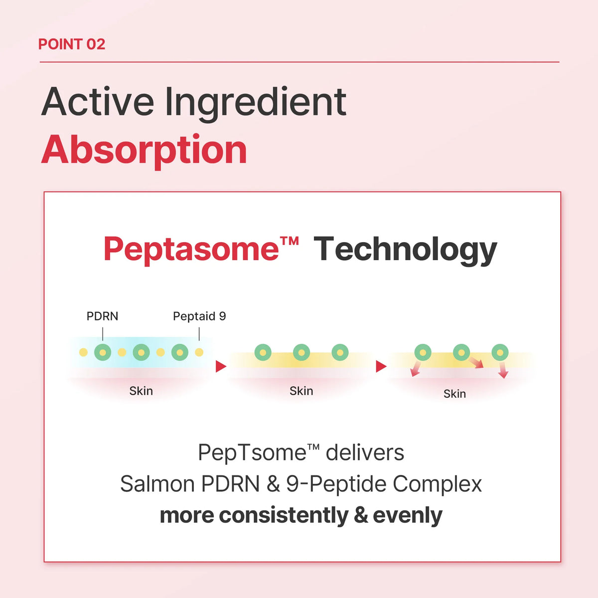 [RAUME] PDRN 30,000 PPM 9-Peptide Lifting Radiance Booster Ampoule 50ml