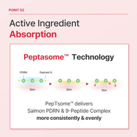 [RAUME] PDRN 30,000 PPM 9-Peptide Lifting Radiance Booster Ampoule 50ml