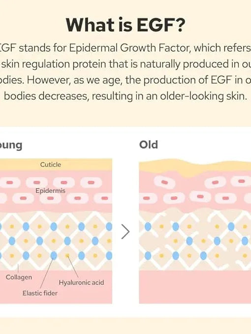 [DE:MAF] EGF Peptide Ampoule for Cell-repair 55ml