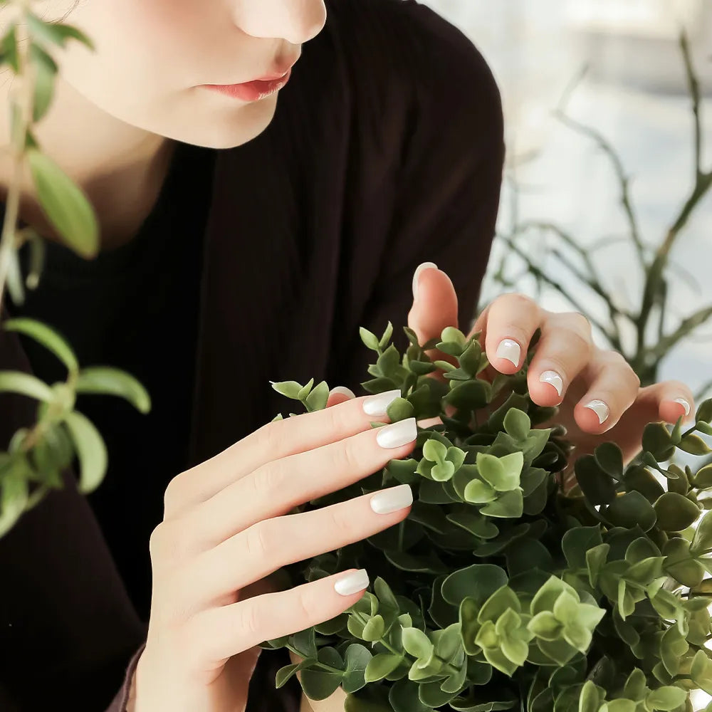 [MUZMAK] Nail Tips in Seed Pearl (Regular Square)