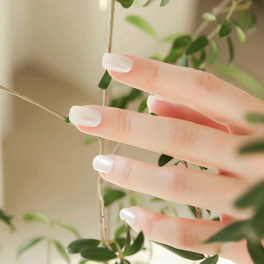 [MUZMAK] Nail Tips in Seed Pearl (Regular Square)