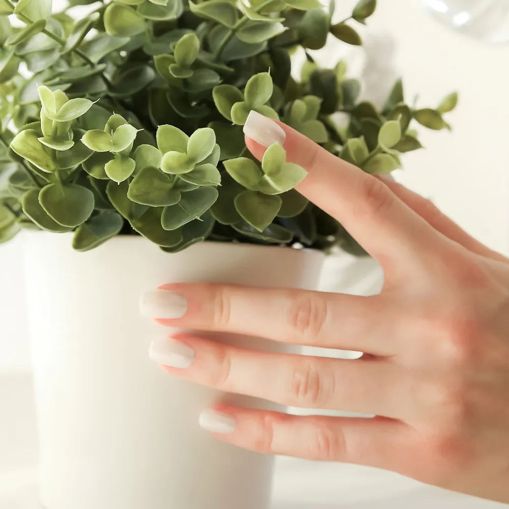 [MUZMAK] Nail Tips in Seed Pearl (Regular Square)