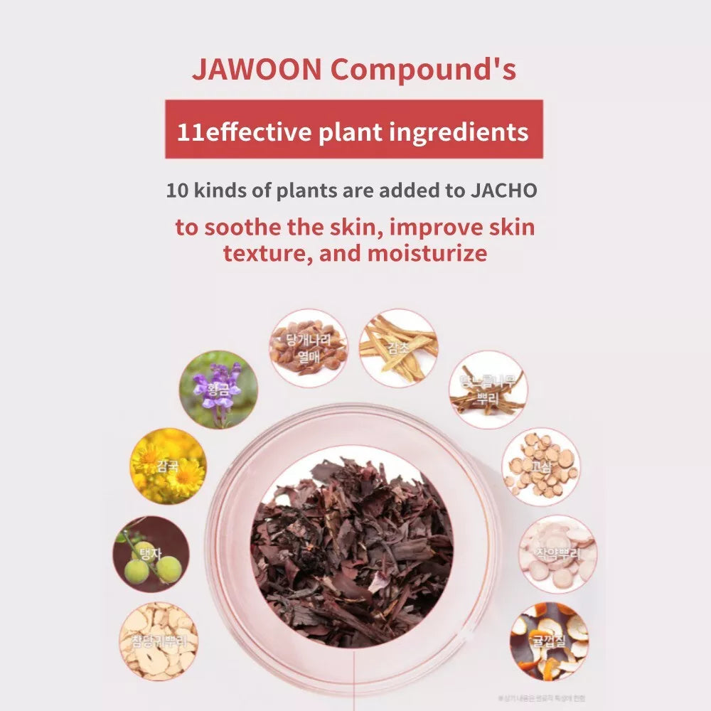 [Century Recipes] Kyungsung Jawoon Facial Cleanser 120ml